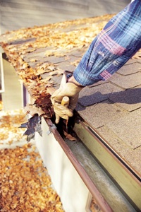 gutter_cleaning