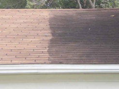 roof-clean-closeup